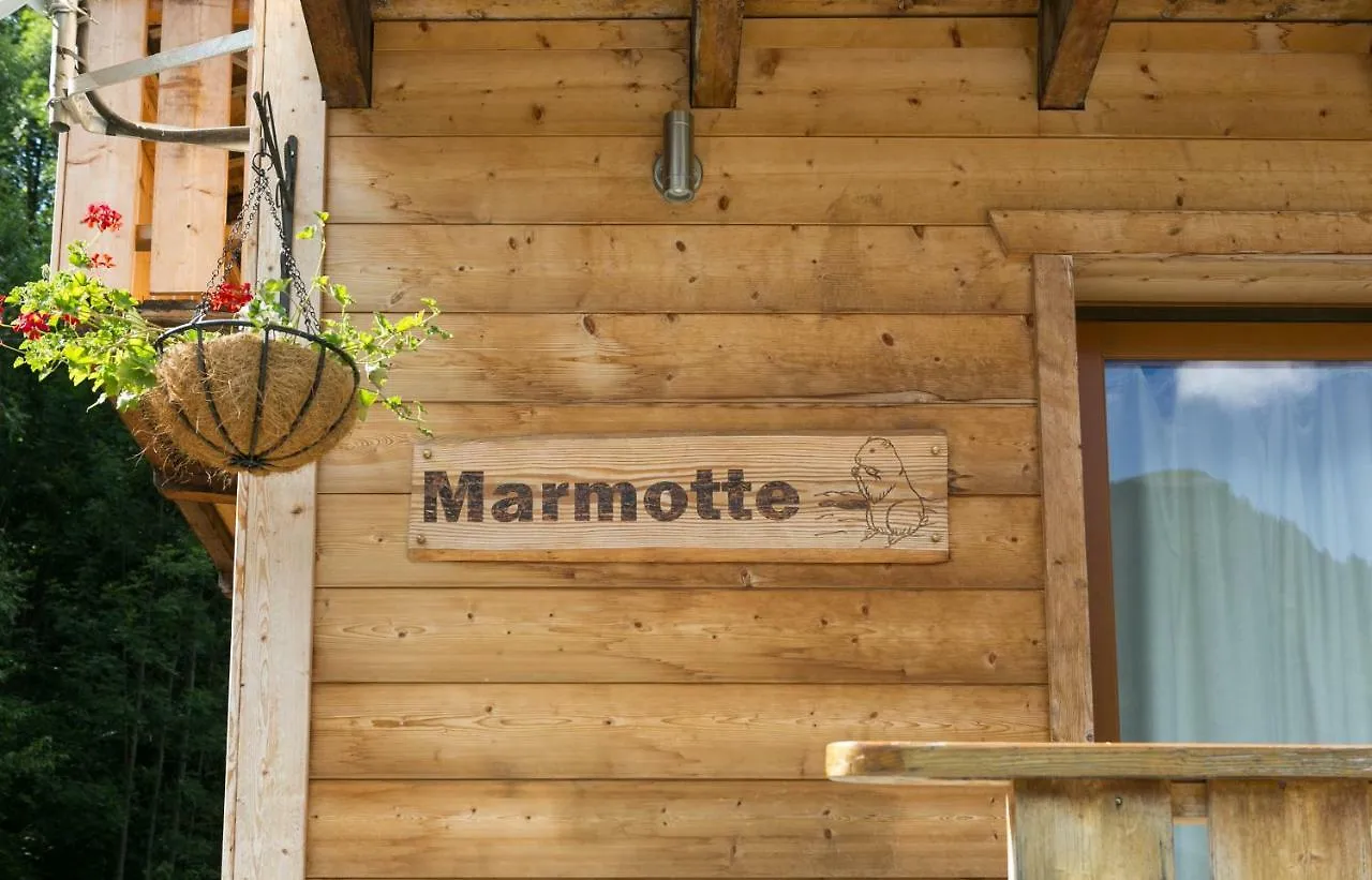 Chalet Marmotte 1 Apartment Morzine France